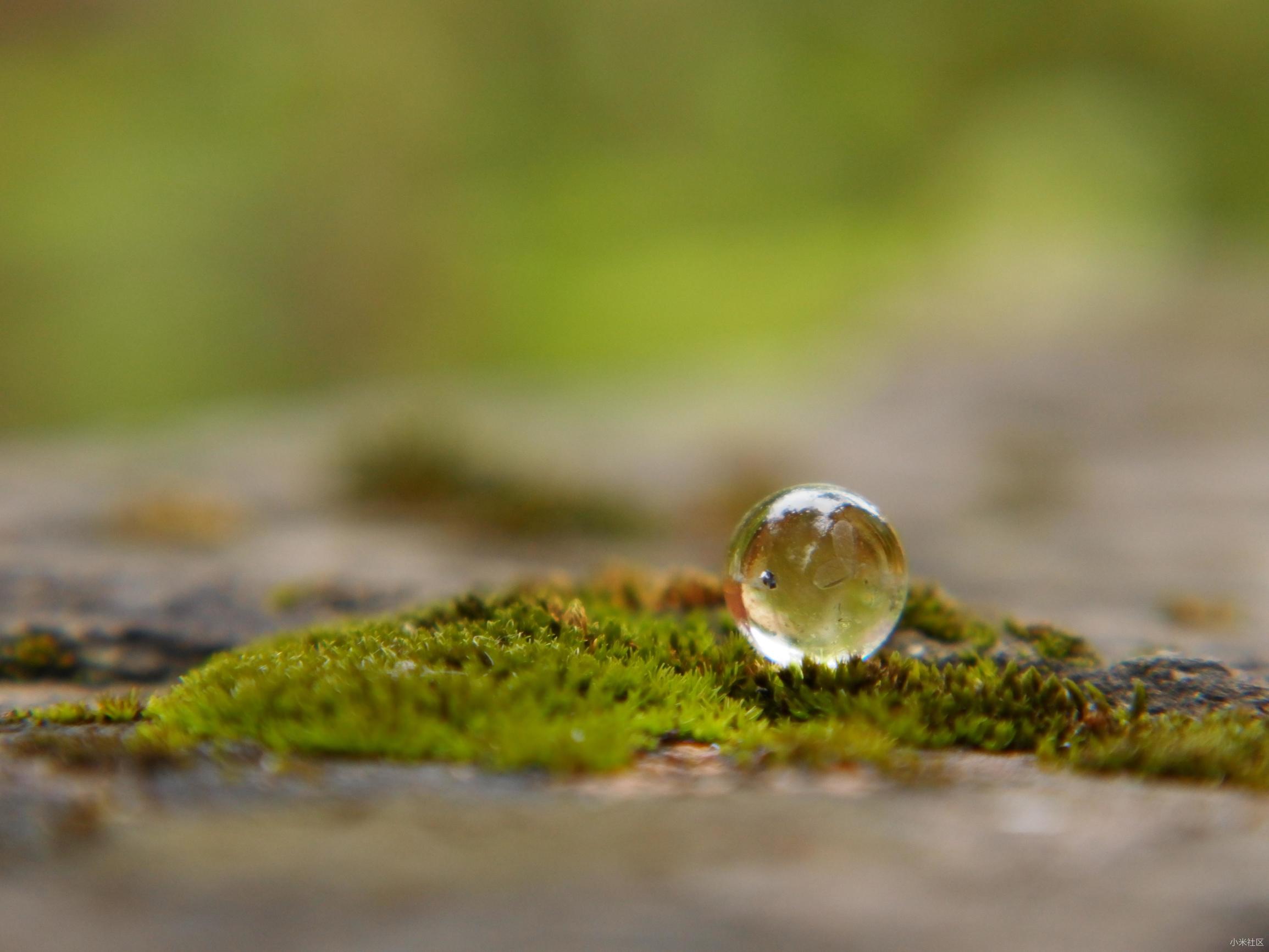 怎样选择最适用便携式相机三脚架,佳能相机三脚架推荐新手