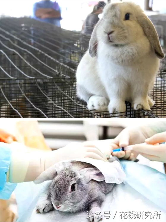 nars今年还有盲盒么,nars什么时候有折扣2023