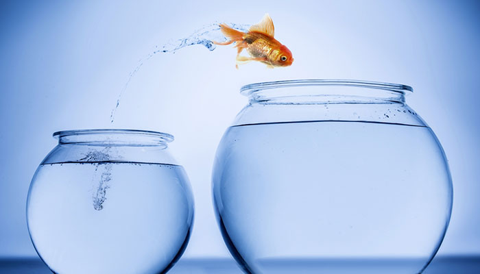 癌症骨头转移初期怎么治疗,拍蚊子拍出骨折