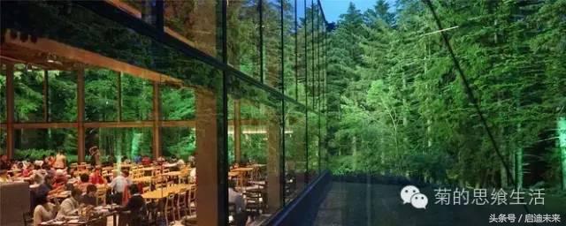 这个暑假是去墨西哥还是大不列颠,这个暑假可以去日本吗