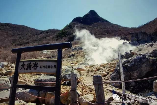 这个暑假是去墨西哥还是大不列颠,这个暑假可以去日本吗