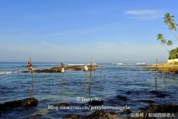海滩捕鱼的几种方法,海边捕鱼吃海鲜视频大全