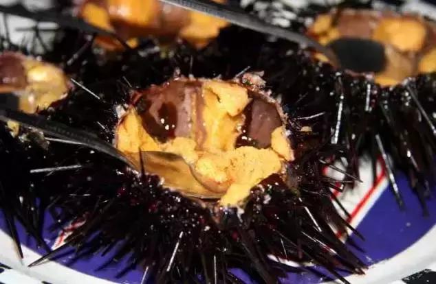 广东最好的海岛旅游攻略,广东海岛旅游景点排名