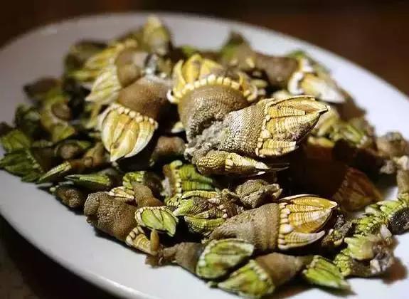 广东最好的海岛旅游攻略,广东海岛旅游景点排名