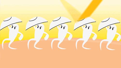 安耐晒防晒真的很好吗,安耐晒防晒好用吗