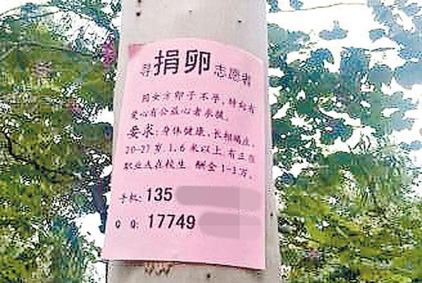 捐卵,被明码标价的青春|关于捐卵应该知道的科普