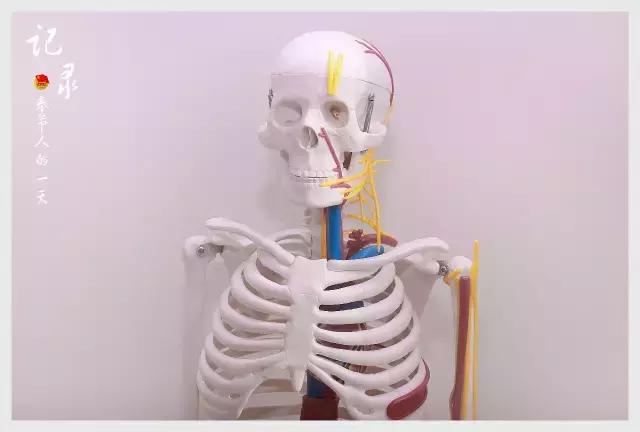 一年300台手术，解密奉节骨科医生的一天！这才是他们最真实的生活