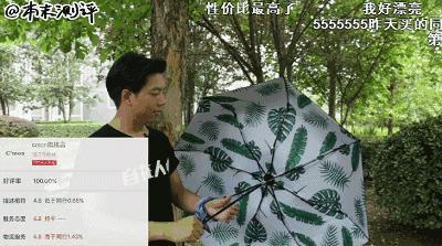 本末测评：晒成狗！教你如何机智挑选防晒伞