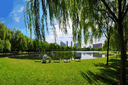 什么？泰达的办公空间都这么美？哪个是你心中最爱！