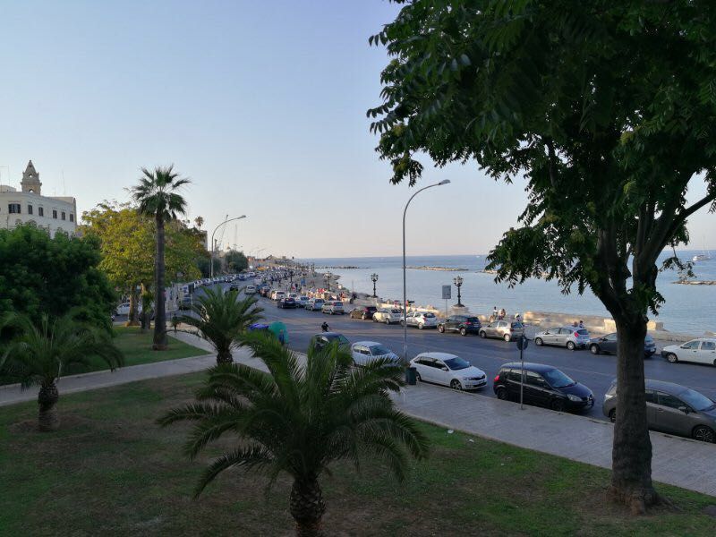 千年古老犬种卡斯罗,寻根之旅巴里坤