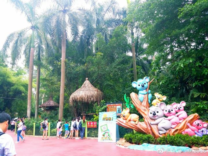 长隆野生动物世界自驾车,长隆野生动物世界免票吗