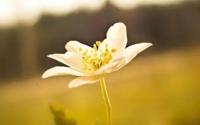 夏天是除体内寒湿最佳时间吗,夏天是祛寒湿气最好的时期