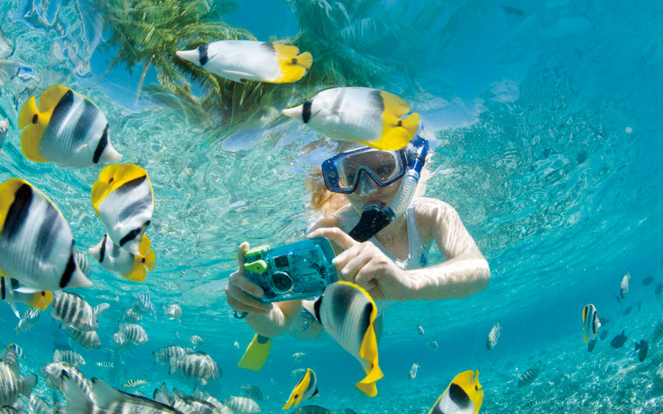 马尔代夫太阳岛上海旅游,治愈美景夏天马尔代夫