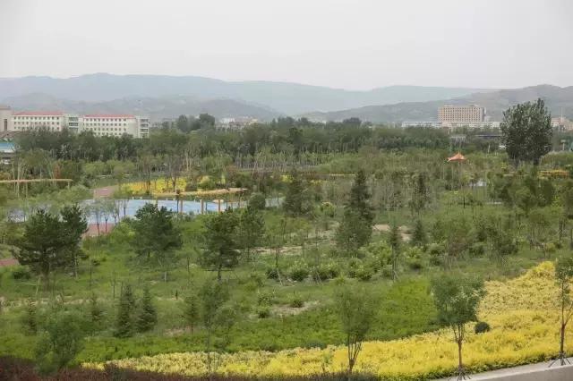 醉美西城｜“城在绿中人在景中”探访绿荫之下的回民区