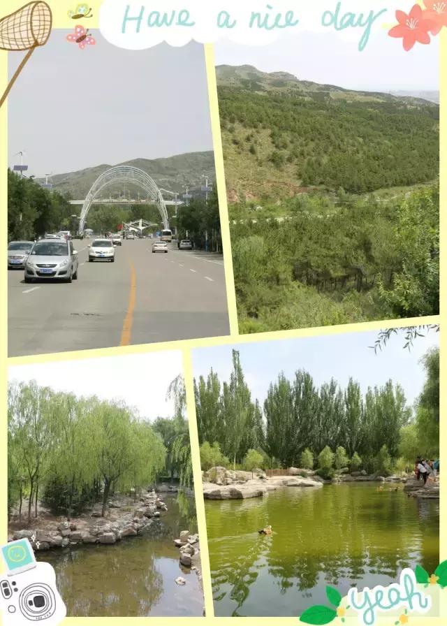 醉美西城｜“城在绿中人在景中”探访绿荫之下的回民区