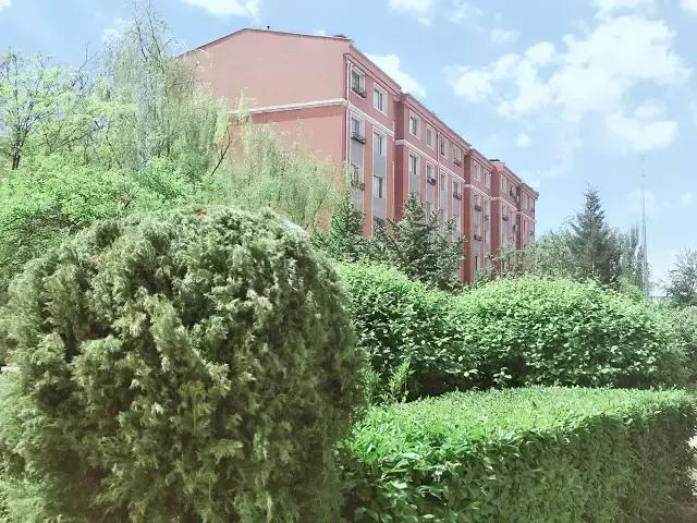 醉美西城｜“城在绿中人在景中”探访绿荫之下的回民区