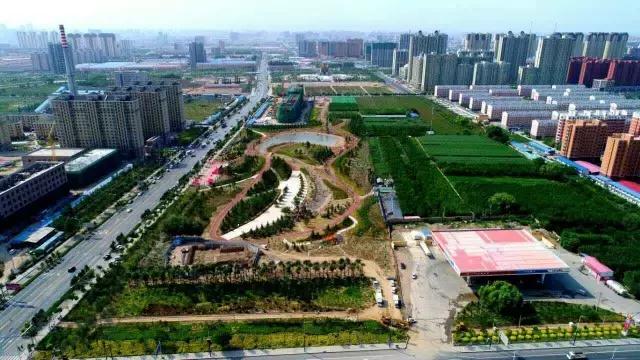 醉美西城｜“城在绿中人在景中”探访绿荫之下的回民区