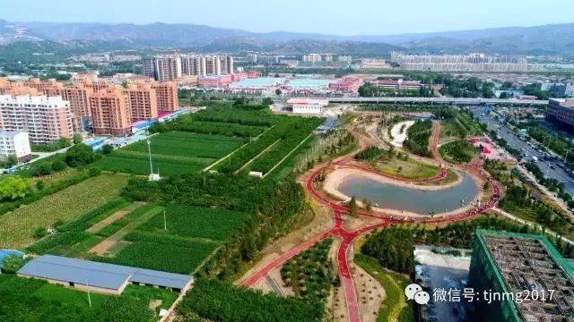 醉美西城｜“城在绿中人在景中”探访绿荫之下的回民区