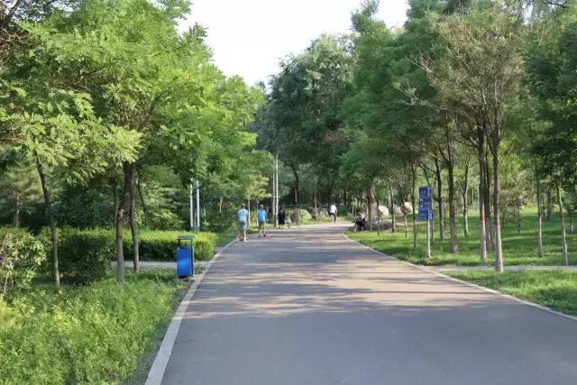 醉美西城｜“城在绿中人在景中”探访绿荫之下的回民区