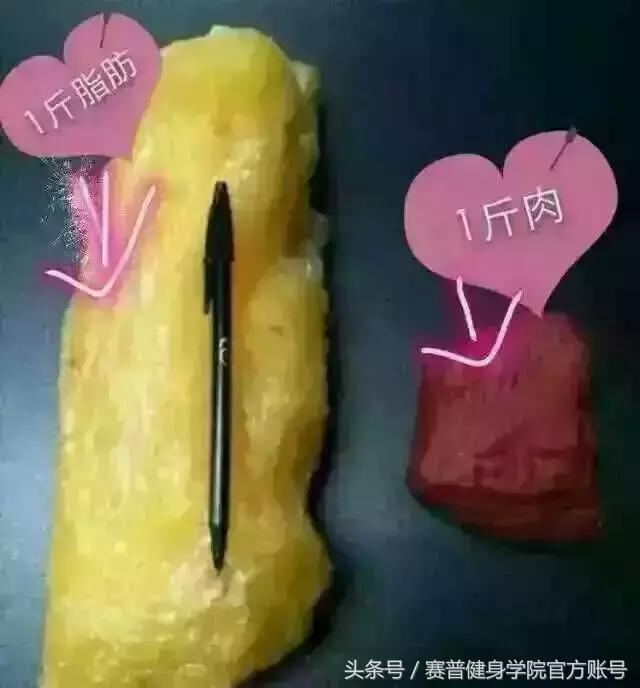 脂肪的知识跟吃有关,脂肪燃烧的知识