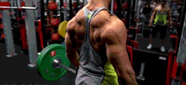 背部训练主要是背阔肌还是斜方肌,高位下拉上背部和背阔肌训练方法