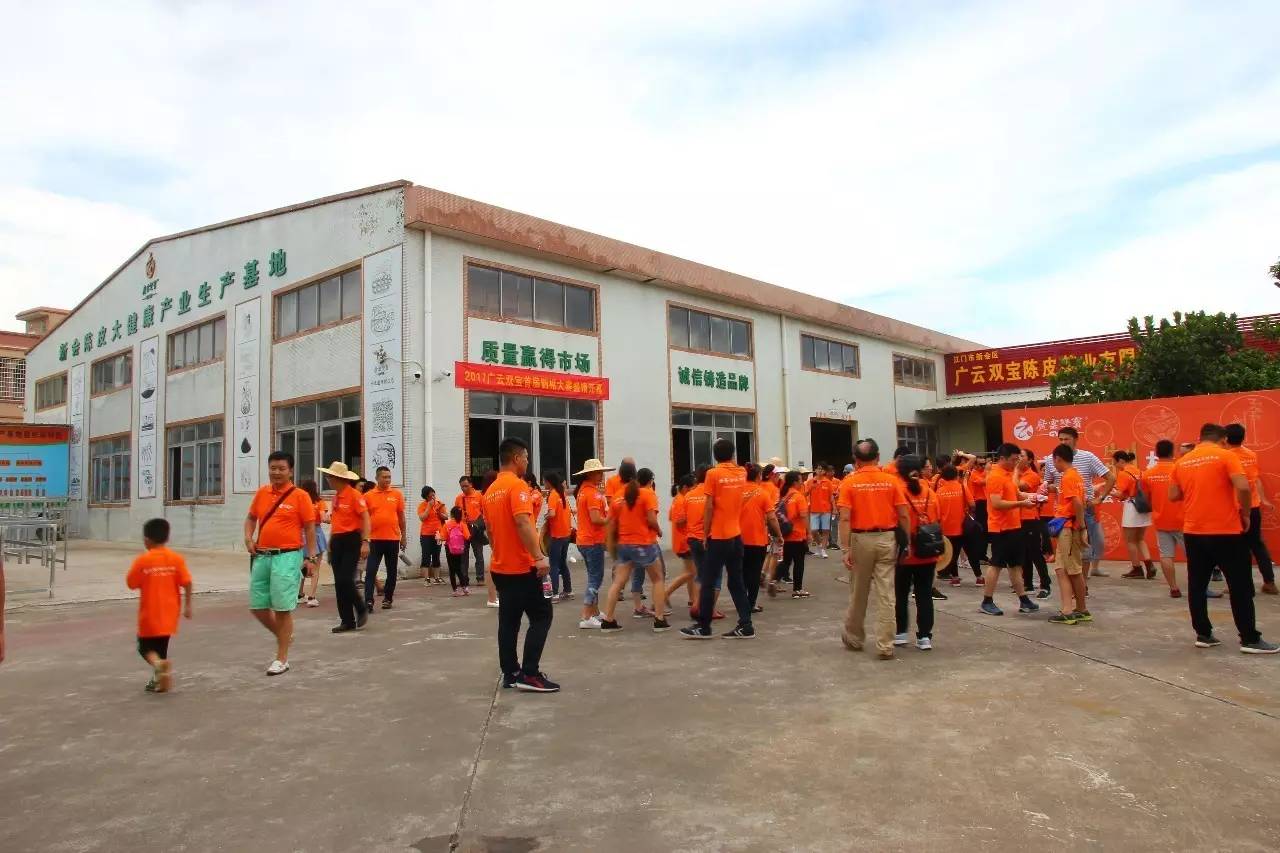 新会陈皮邀请赛,新会柑比赛