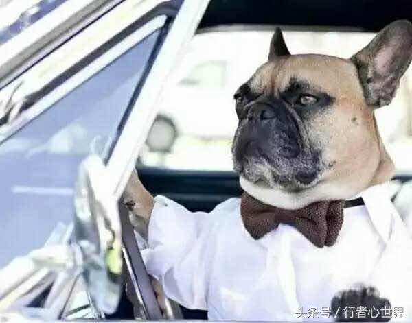 你牛什么牛是哪个小品的,你牛什么牛笑话