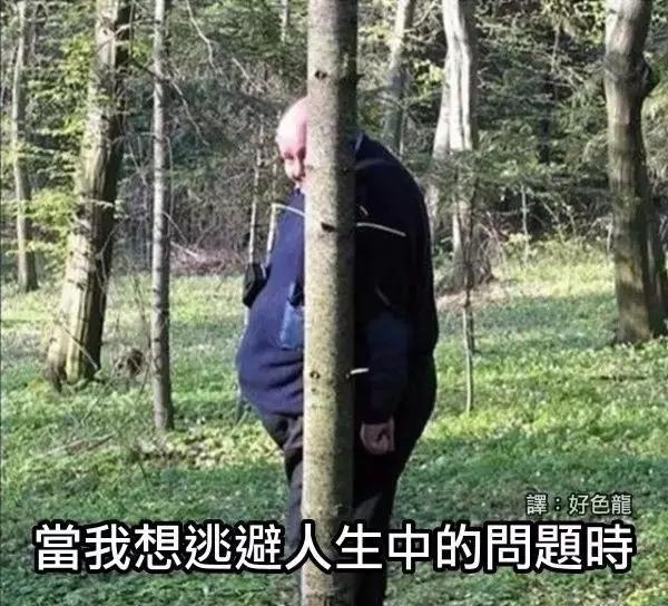 蜘蛛侠能拿雷神的锤子吗,蜘蛛侠可以放蜘蛛吗