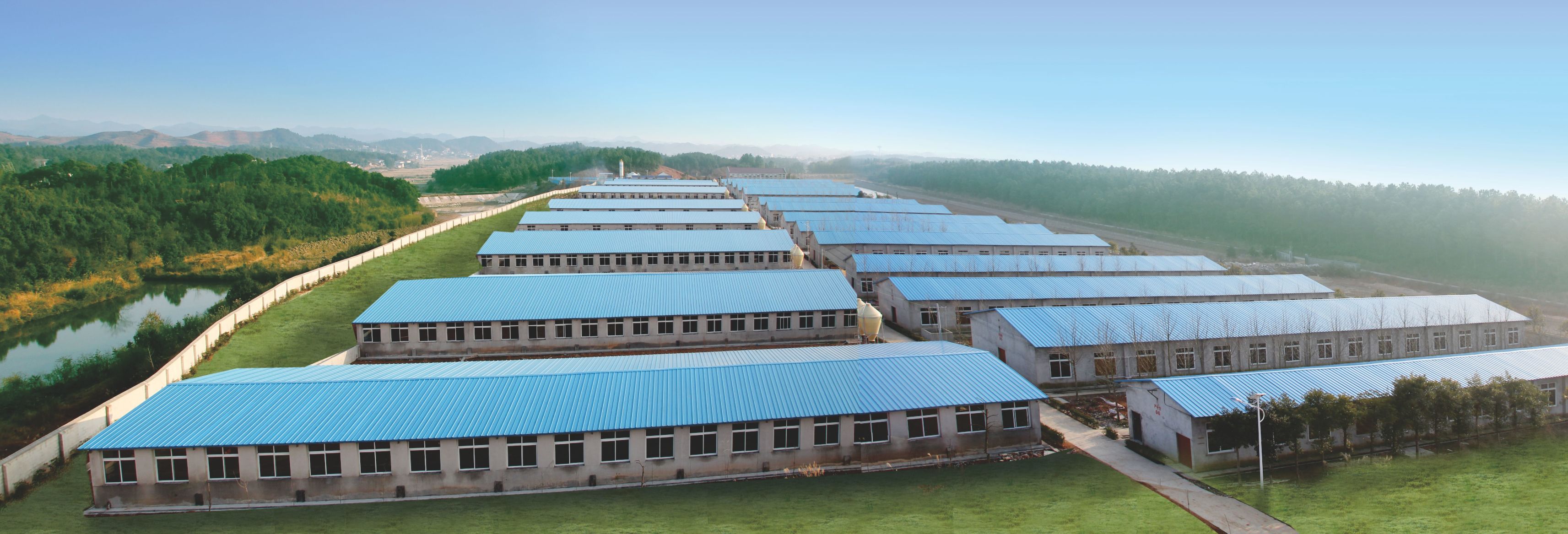 500万头规模布局这三大区域！刘满秋谈湖南鑫广安发展与规划