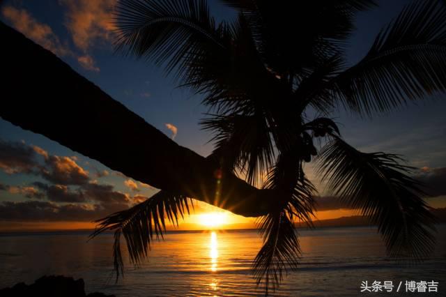 看过便爱上，斐济带来的这酸爽~