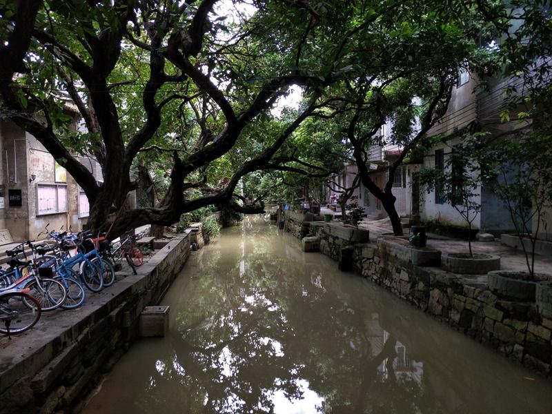 vivox9s璇勬祴瑙嗛,vivox9splus浣撻獙娴嬭瘎