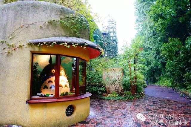 这个暑假是去墨西哥还是大不列颠,这个暑假可以去日本吗