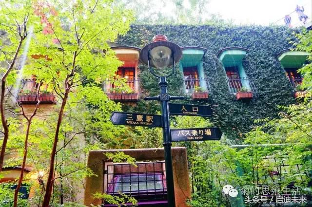 这个暑假是去墨西哥还是大不列颠,这个暑假可以去日本吗