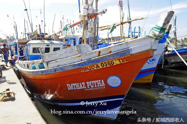 海滩捕鱼的几种方法,海边捕鱼吃海鲜视频大全