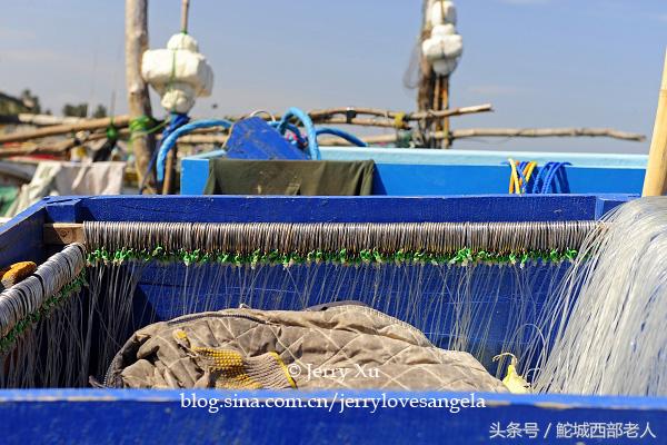 海滩捕鱼的几种方法,海边捕鱼吃海鲜视频大全