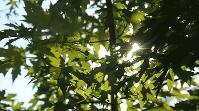 聂凡｜只要心中充满爱，人人都可公益