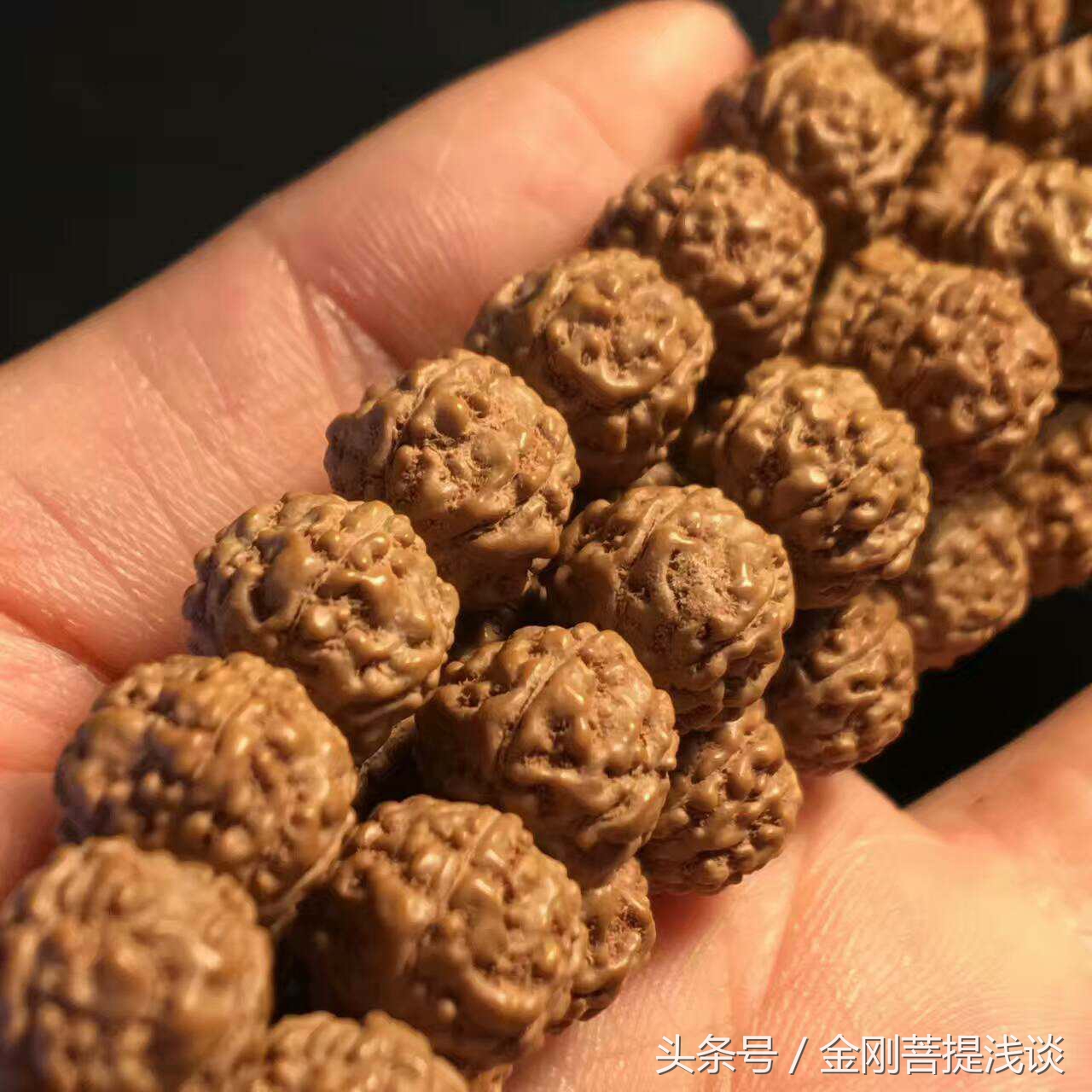 金刚菩提纹路里反碱,六瓣雪花金刚菩提纹路