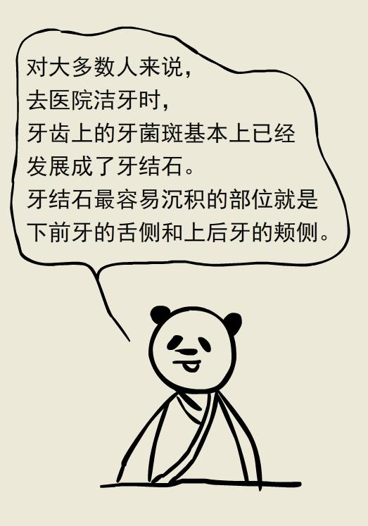 为什么洗牙以后还要做牙周刮治,为什么洗牙后还要刮治