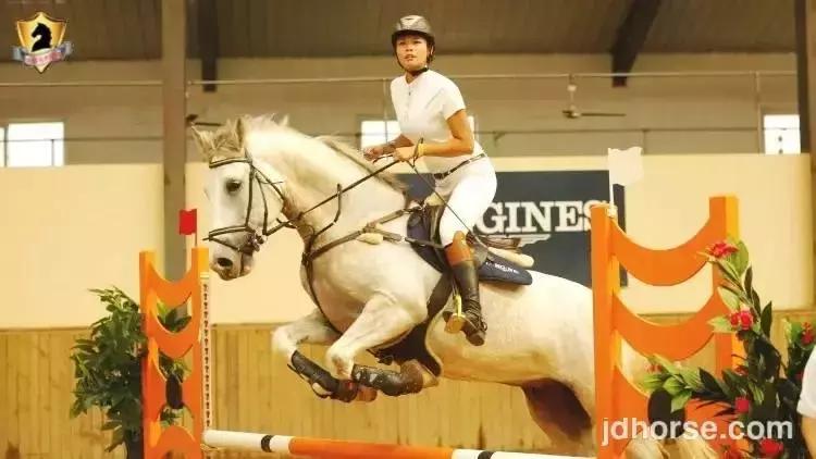 马术联赛总决赛,2019马术比赛鸟巢之路