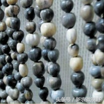 长得像玉米芽的草叫什么,长得像胡豆很硬的种子