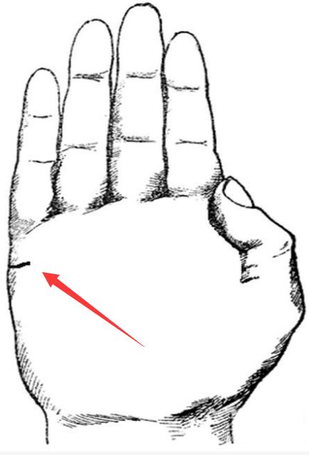 婚姻线不好就代表婚姻不幸福吗,当心婚姻的生肖