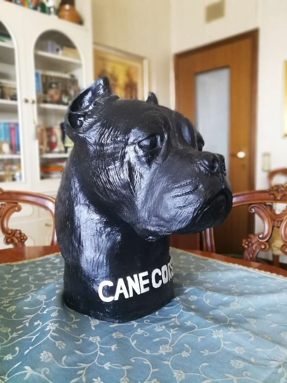 千年古老犬种卡斯罗,寻根之旅巴里坤