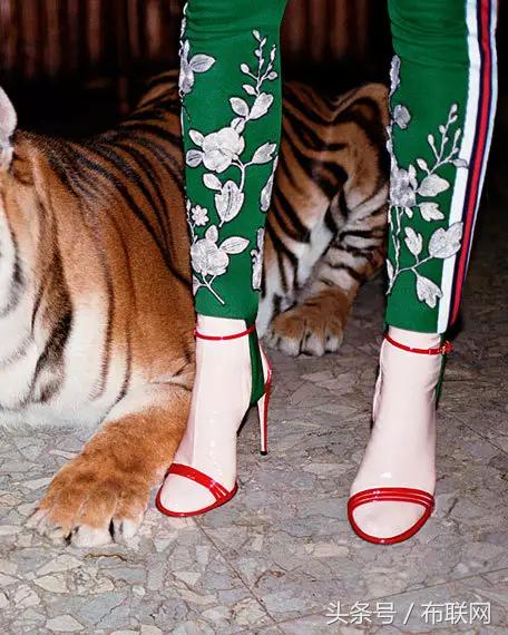 夏天来了到底要不要穿袜子,夏天到底穿什么袜子不热