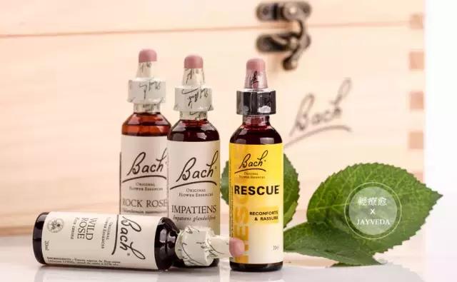 情绪与花精—Bach原创花精简介