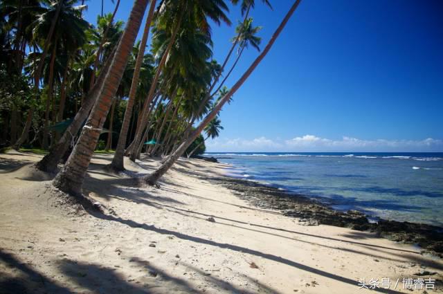看过便爱上，斐济带来的这酸爽~