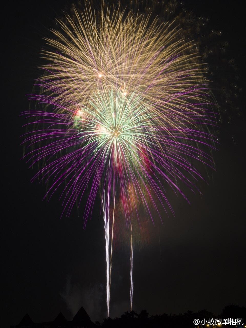 怎样选择最适用便携式相机三脚架,佳能相机三脚架推荐新手