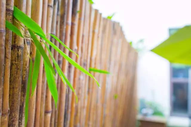 灵隐民宿云溪涧度假别院,灵隐边上最好民宿