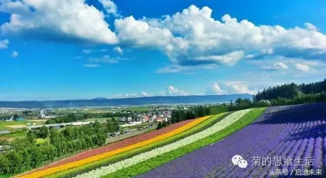 这个暑假是去墨西哥还是大不列颠,这个暑假可以去日本吗