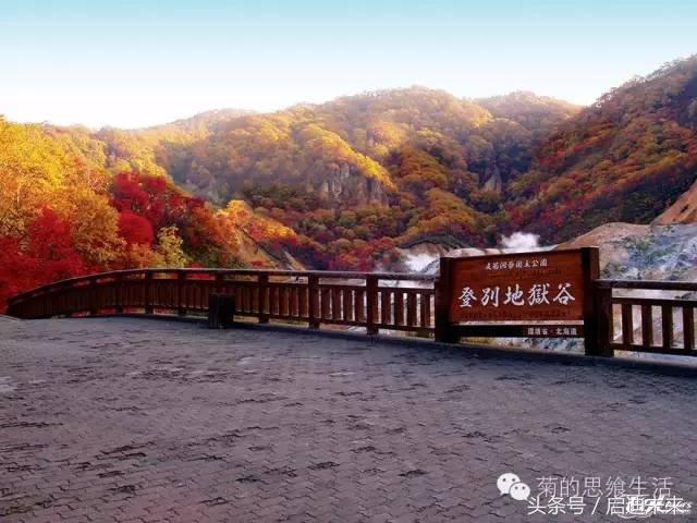 这个暑假是去墨西哥还是大不列颠,这个暑假可以去日本吗