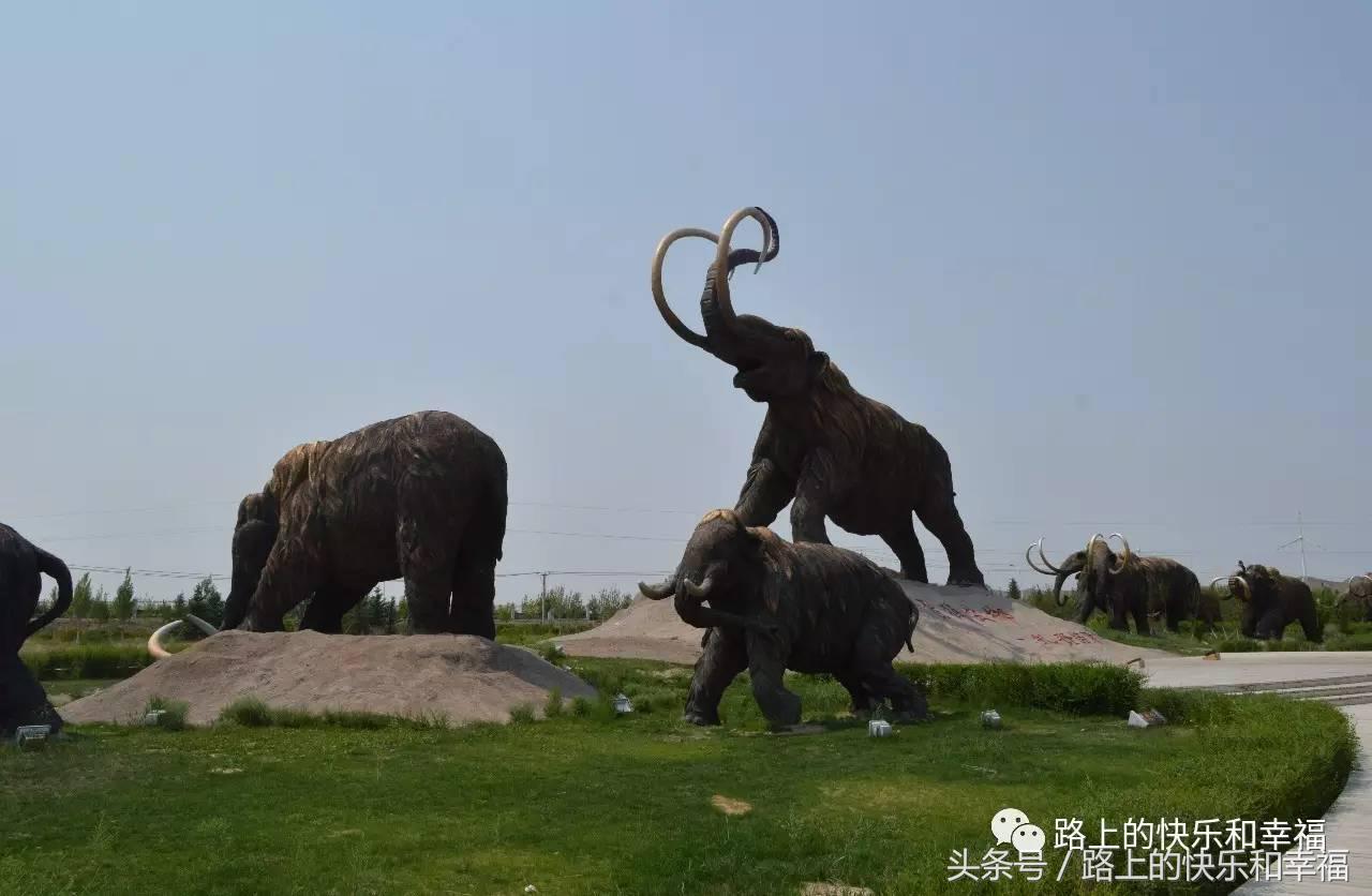 内蒙古呼伦贝尔大草原之行,内蒙呼伦贝尔大草原旅行